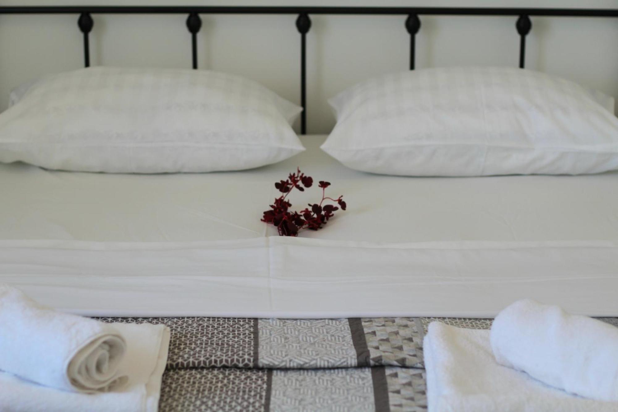 Apartment Nero Zadar Eksteriør billede